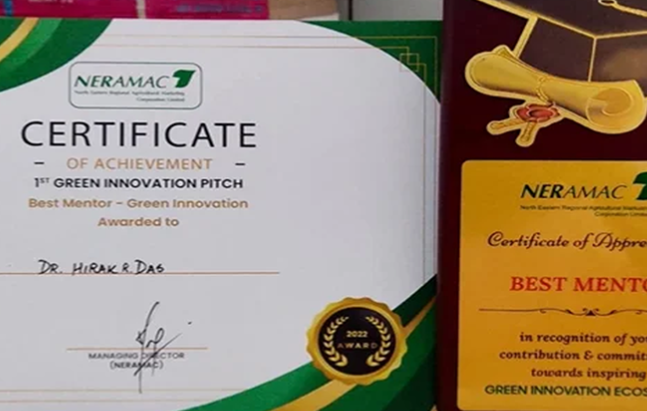 Best Mentor Award For Innovation